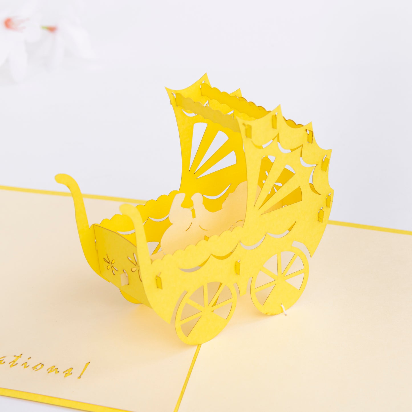 Baby (Available in 4 colors)