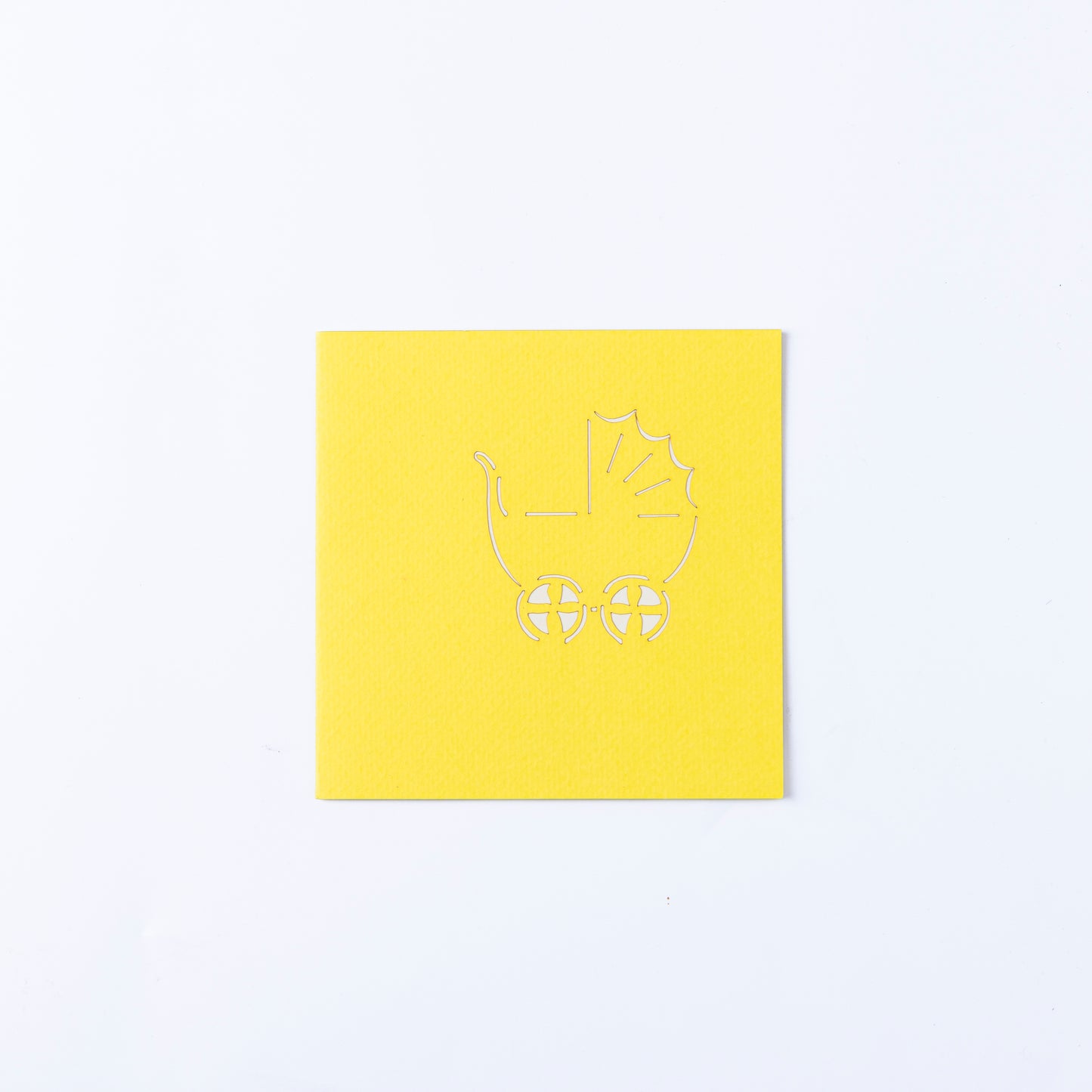 Baby (Available in 4 colors)