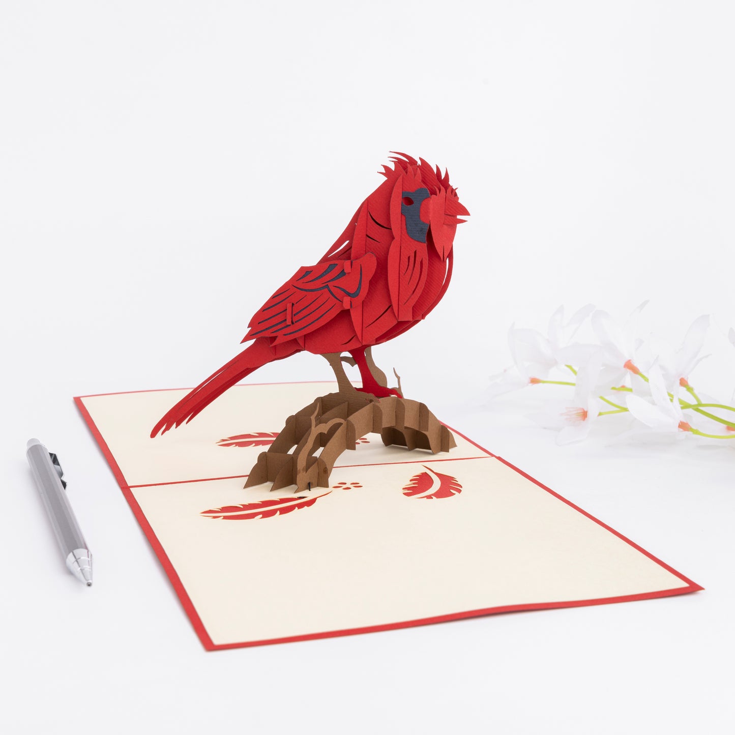Cardinal