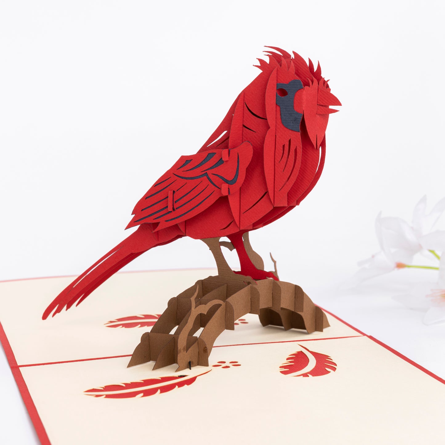 Cardinal