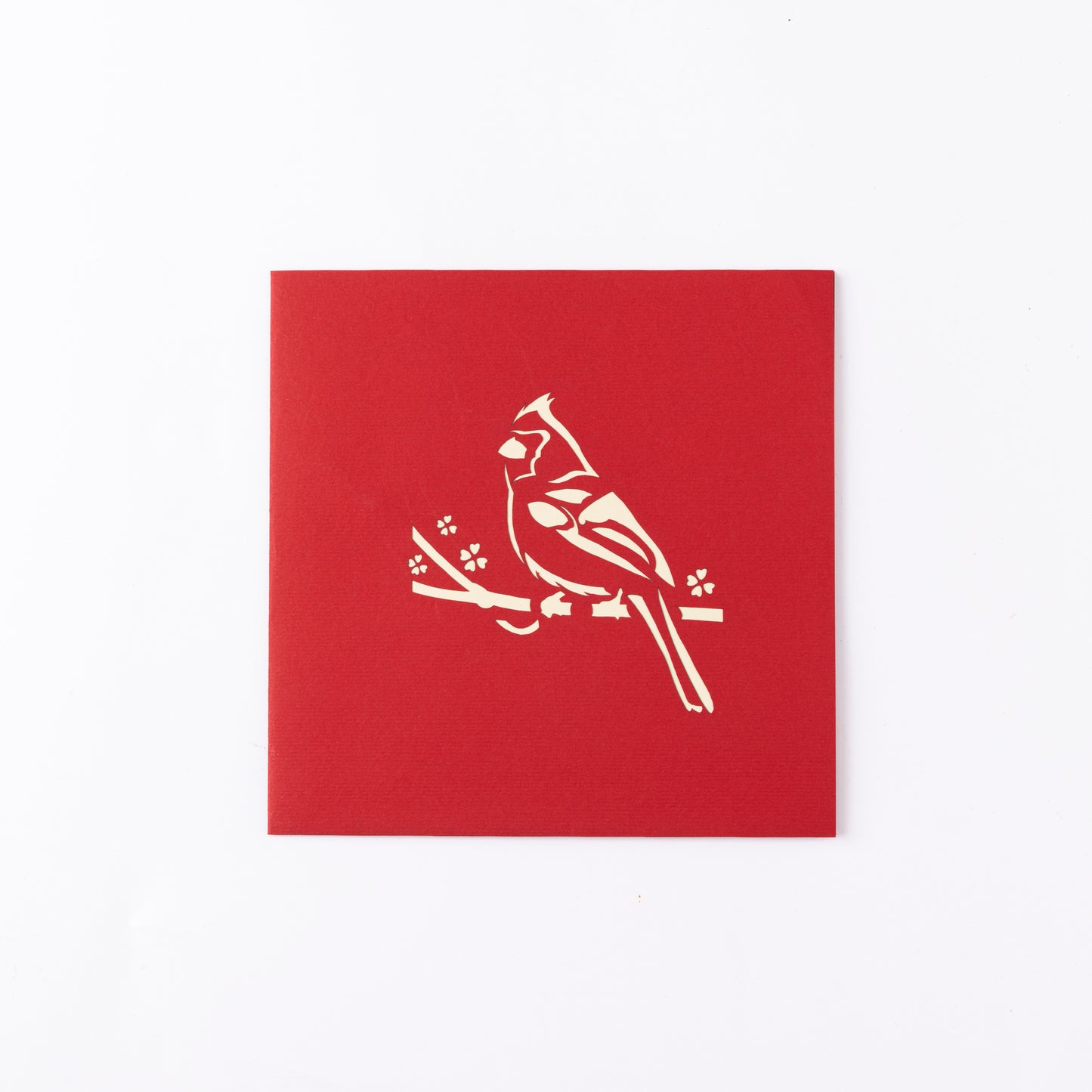 Cardinal