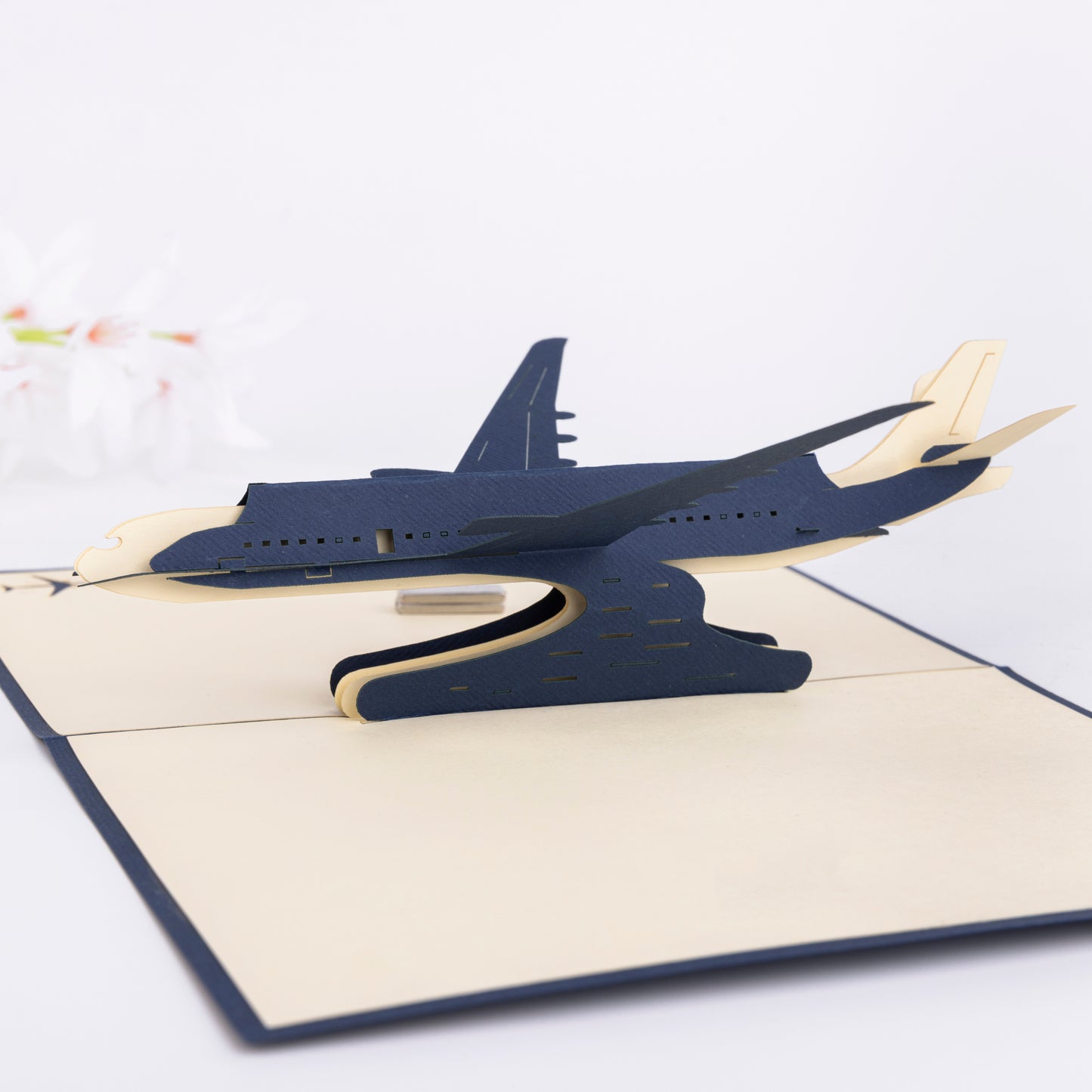 Airplane