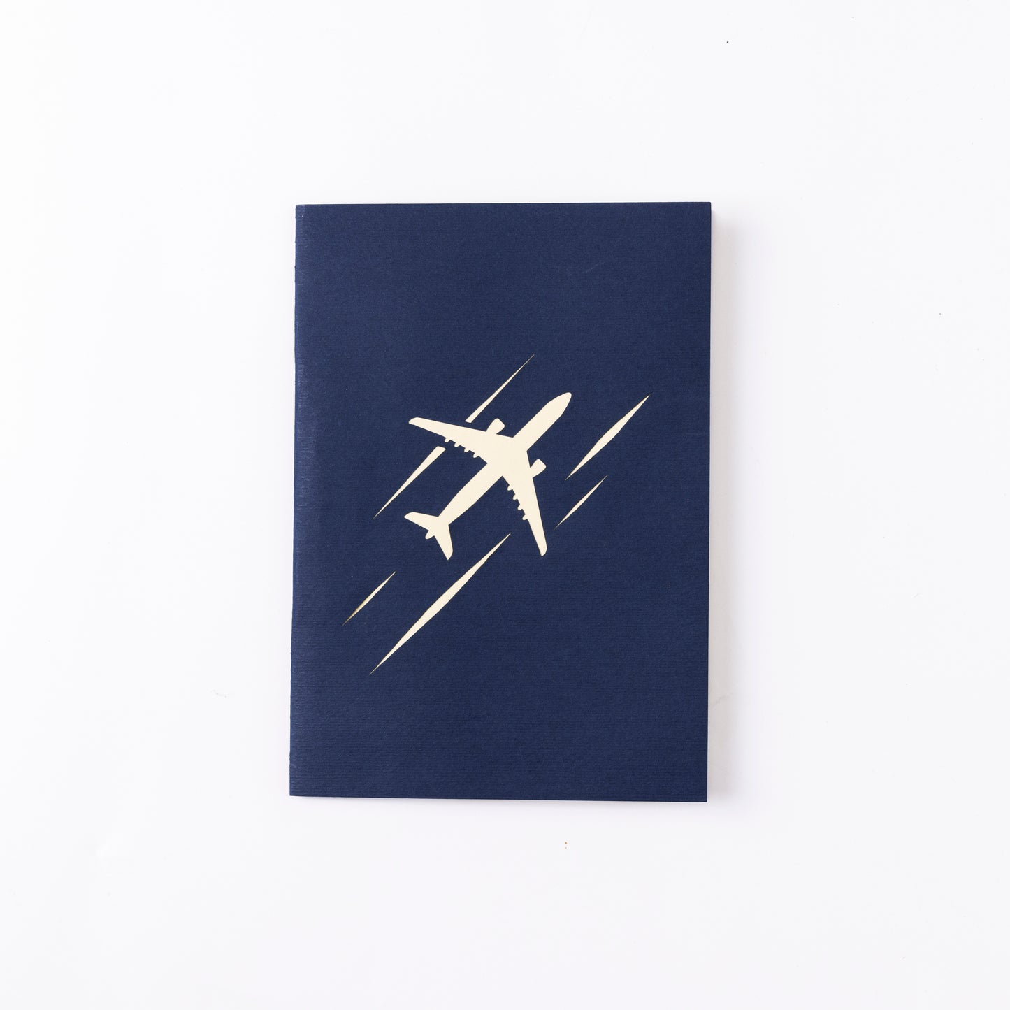Airplane