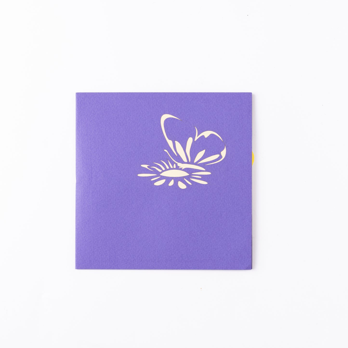 Flower & Butterfly