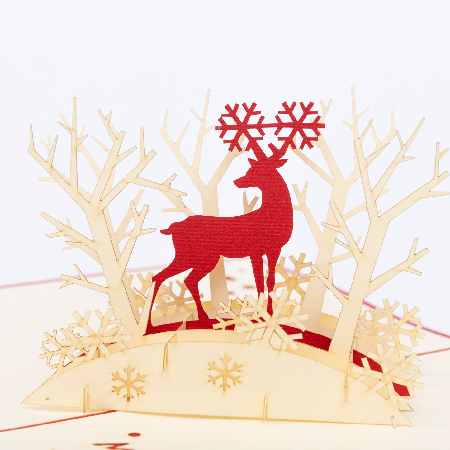 Reindeer