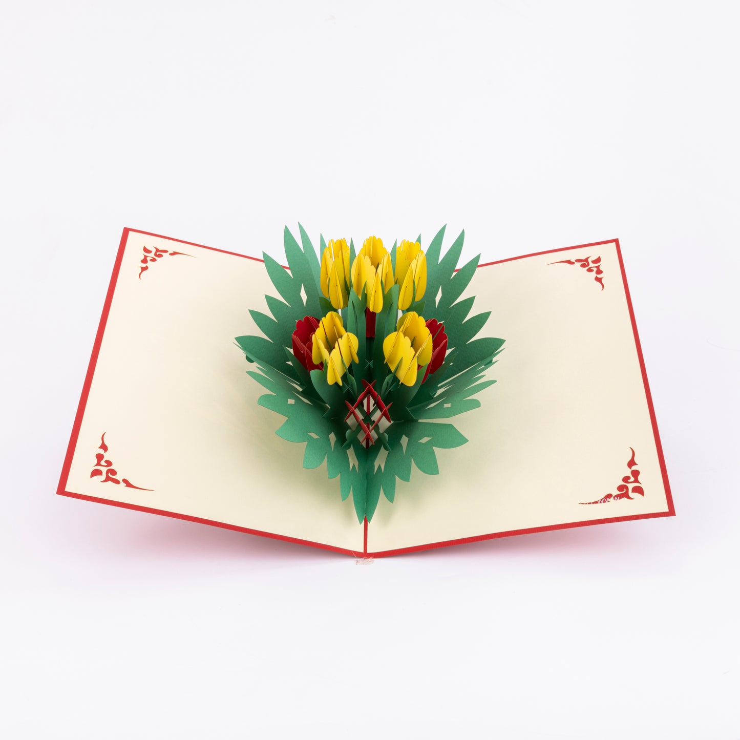 Tulip