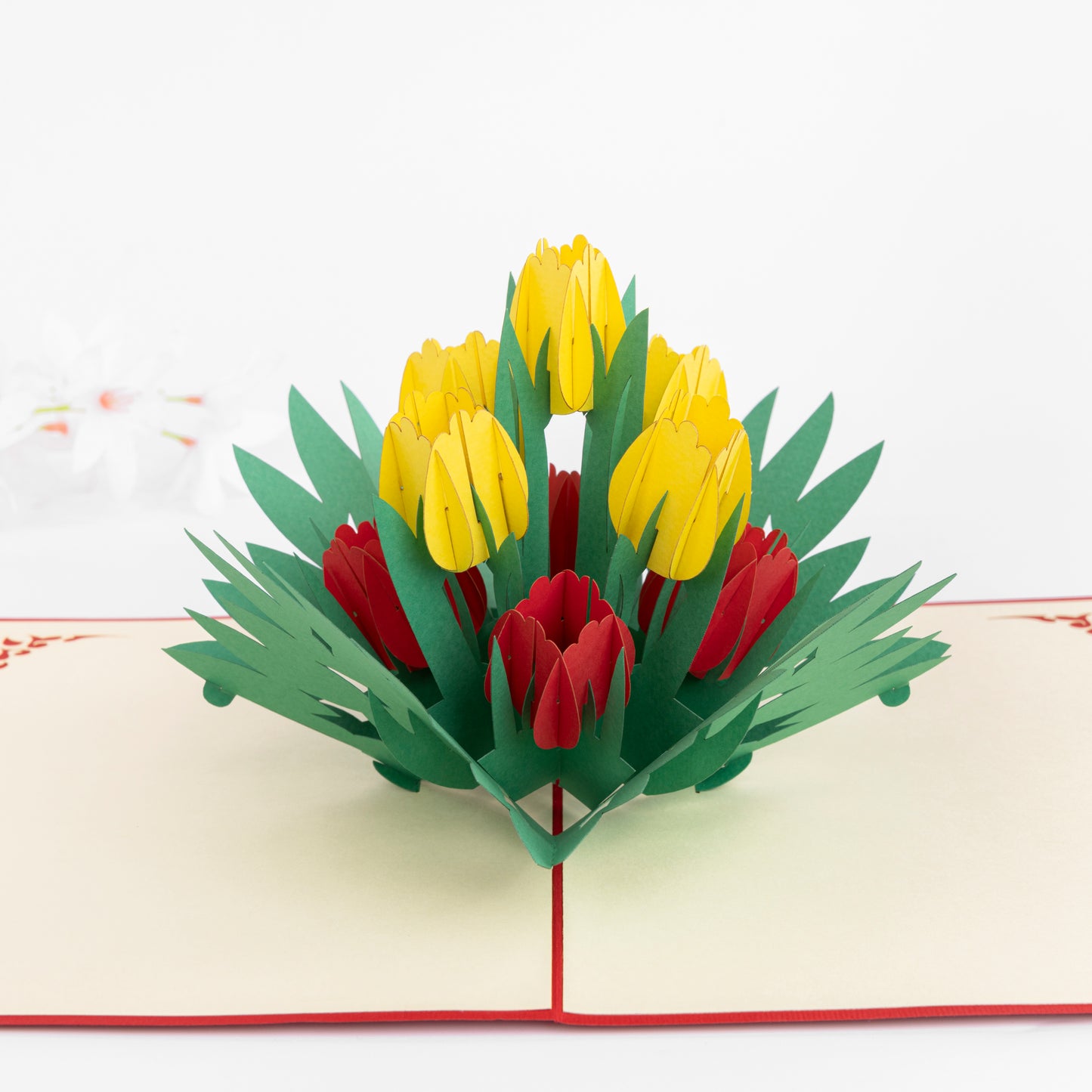 Tulip