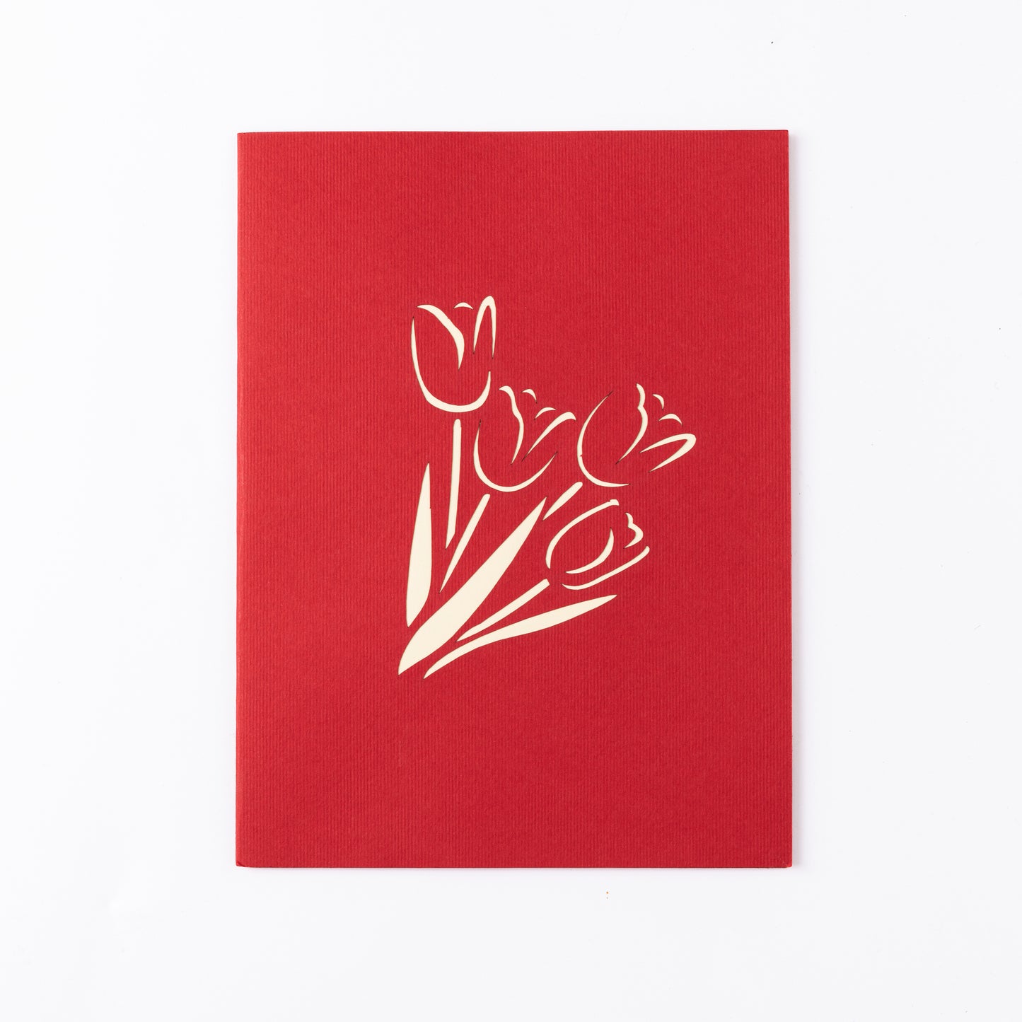 Tulip