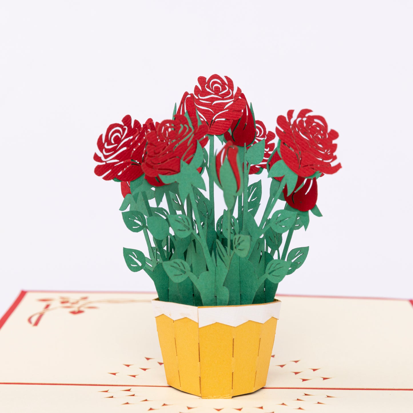 Roses