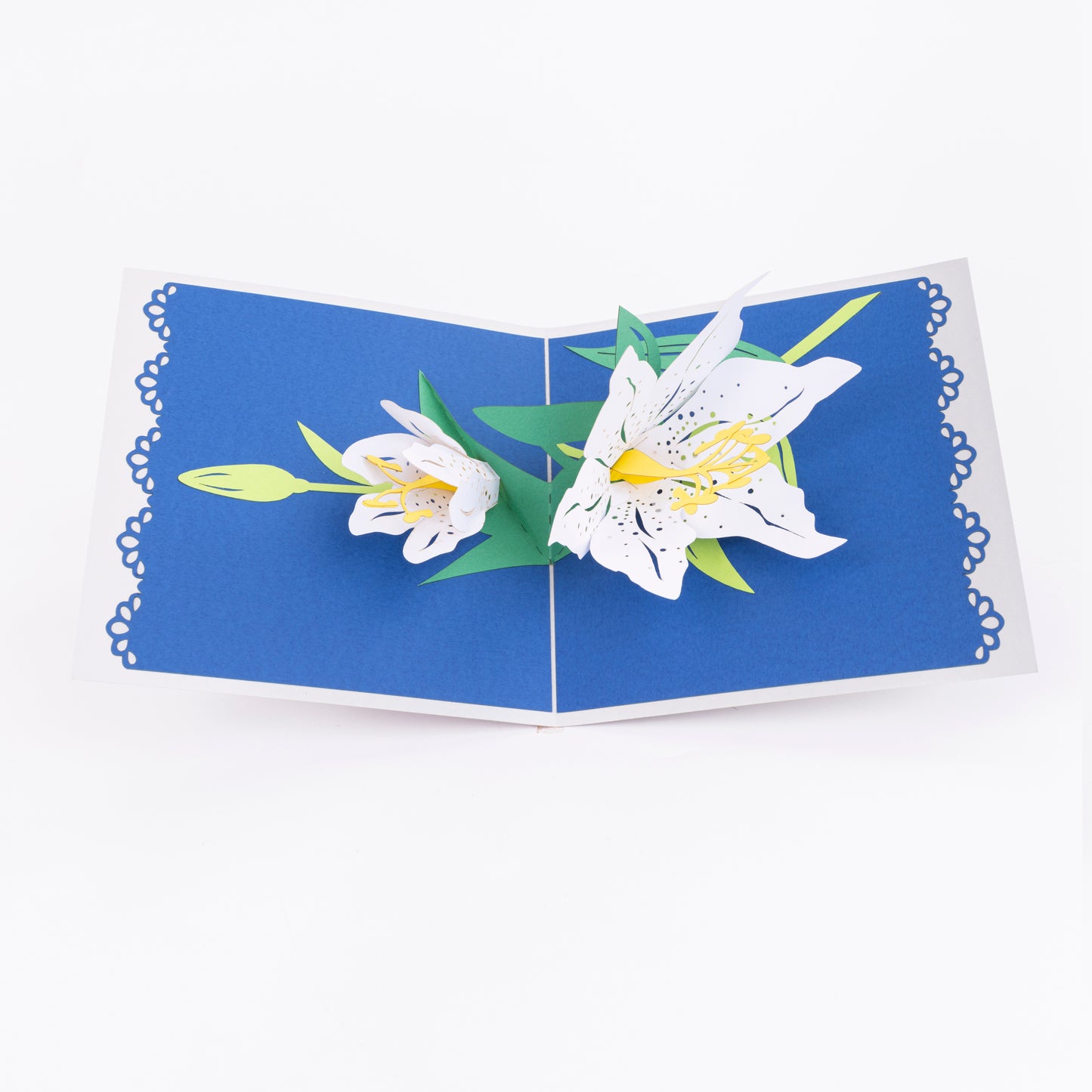 Lily White