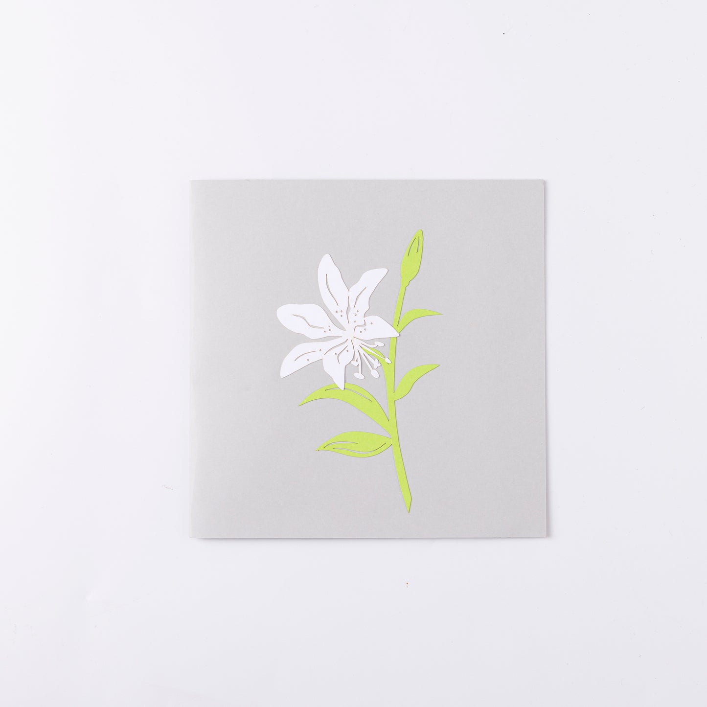 Lily White