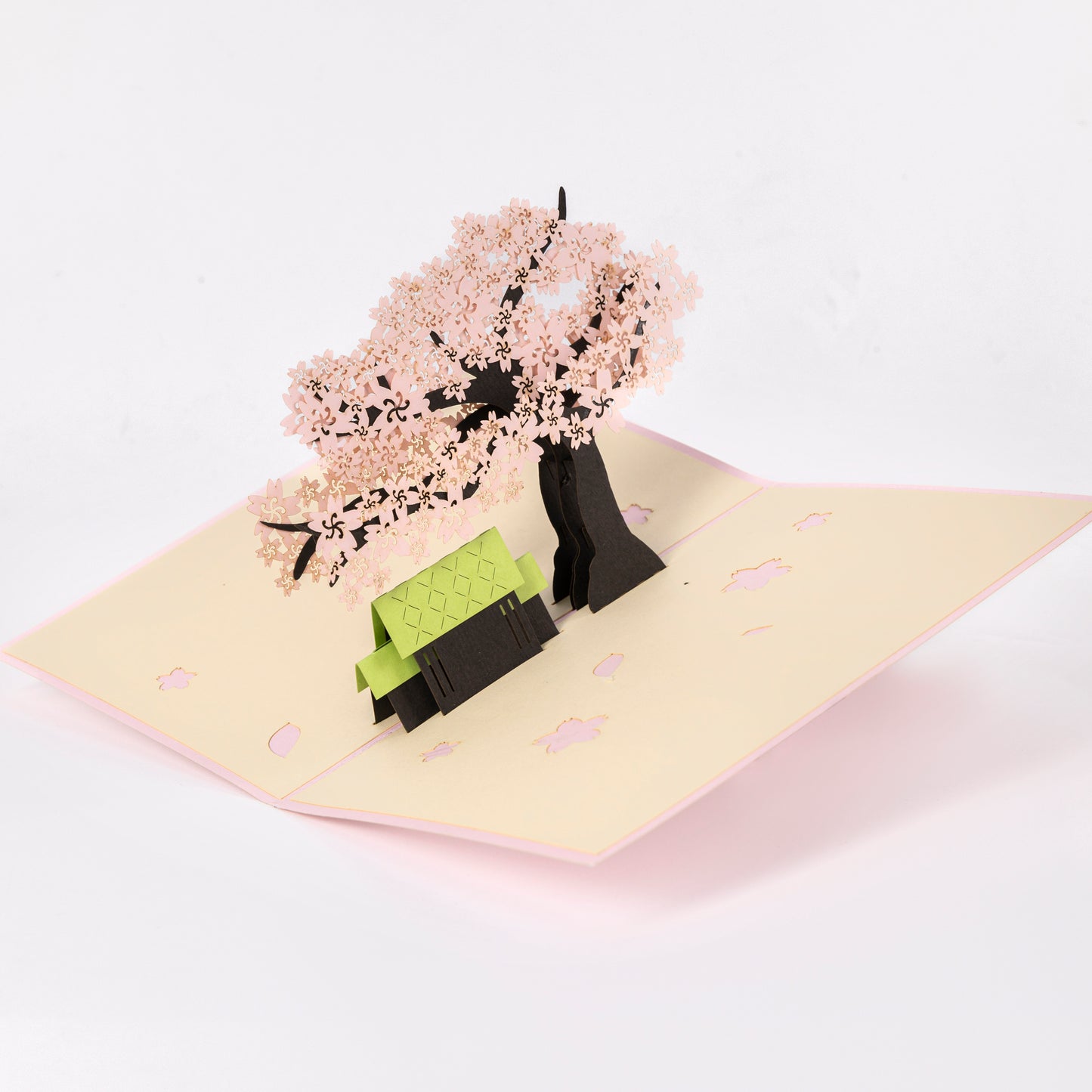 Cherry Blossom Pink