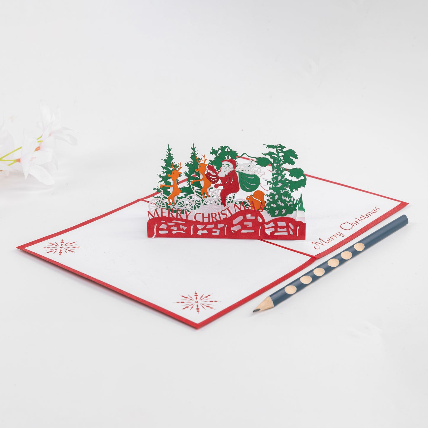 Santa on Bicycle