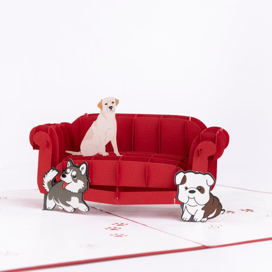 Dogs on Sofa
