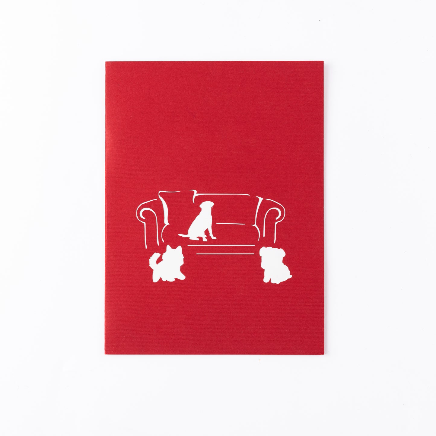 Dogs on Sofa