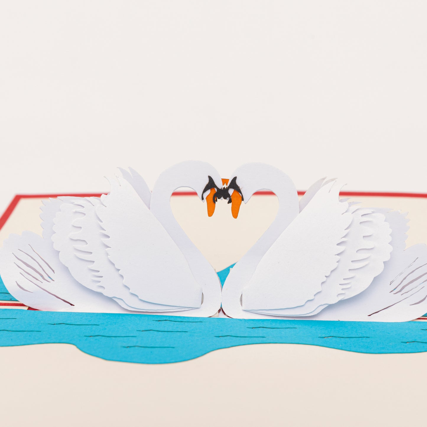 Swan