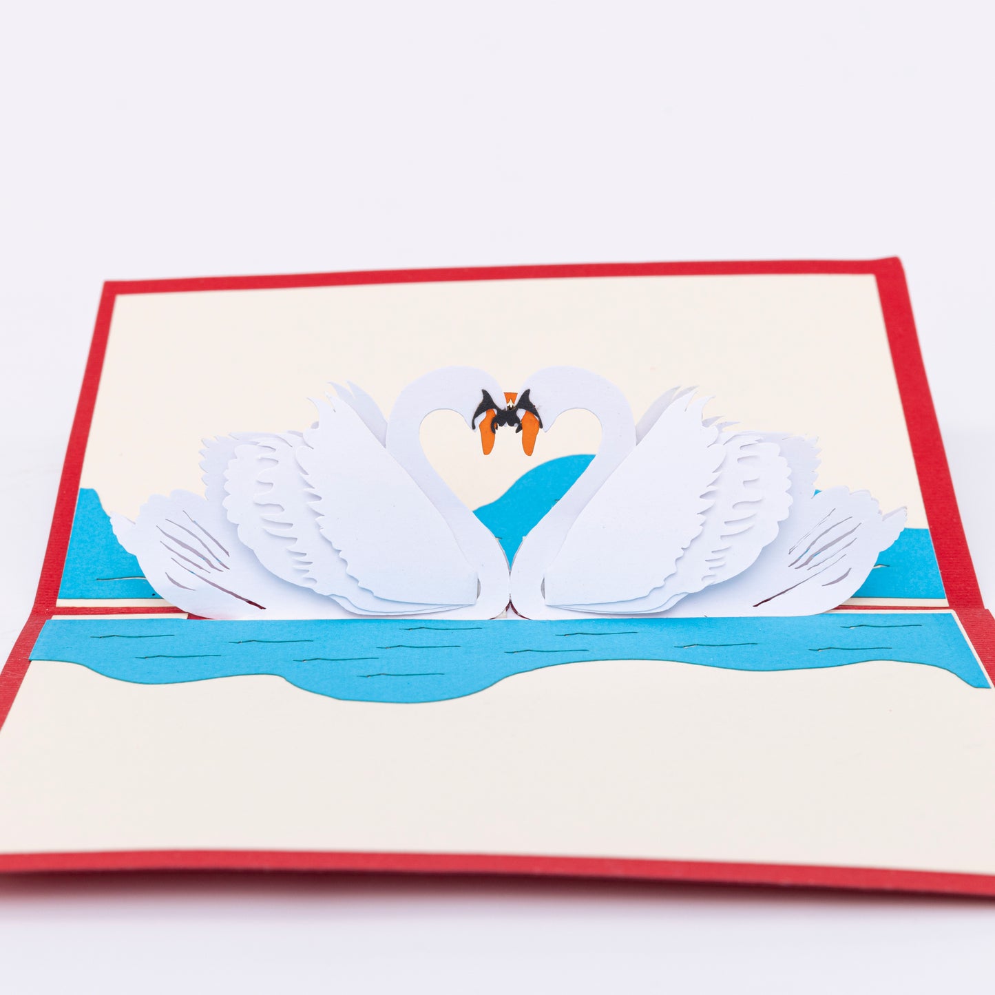 Swan